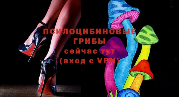 mdpv Костерёво