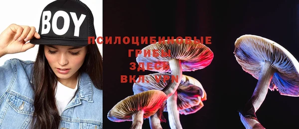 mdpv Костерёво