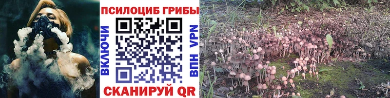Галлюциногенные грибы MAGIC MUSHROOMS  Кирово-Чепецк 